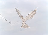Cervia 2011-135